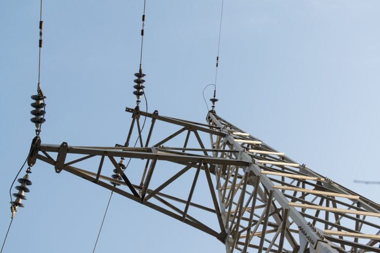 Διαμαρτυρίες επιχειρηματιών στην Καρδάμαινα για τη διακοπή ρεύματος: «Μας χάλασαν τα προϊόντα»