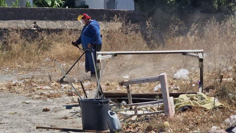 Στη Λαϊκή Αγορά Κω ο Αντιδήμαρχος Πρασίνου Σ. Δουδούς: Καθαρισμός του χώρου με θαμνοκοπτικό