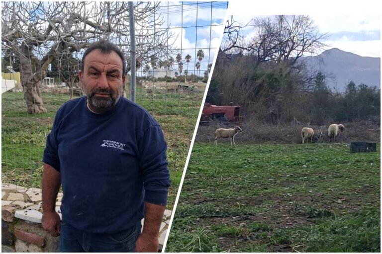 Απογοητευμένος ο Πρόεδρος Κτηνοτρόφων Κω για τα μέτρα της Κυβέρνησης μετά τις κινητοποιήσεις