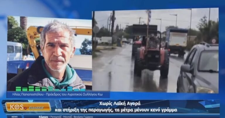 Παπαποστόλου: Τα μέτρα δεν λύνουν τα πραγματικά προβλήματα του πρωτογενούς τομέα