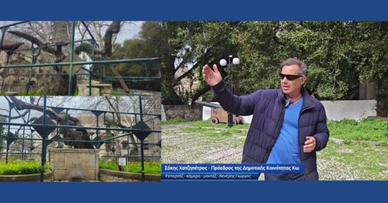 Σχέδια συντήρησης στον Πλάτανο του Ιπποκράτη και την ιστορική πλατεία