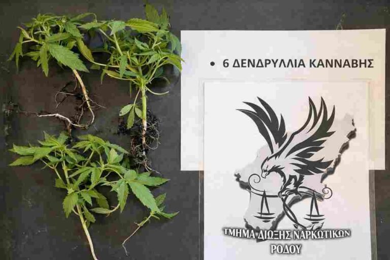 Μίνι «φυτεία» σε σπίτι στη Ρόδο – χειροπέδες σε 41χρονο