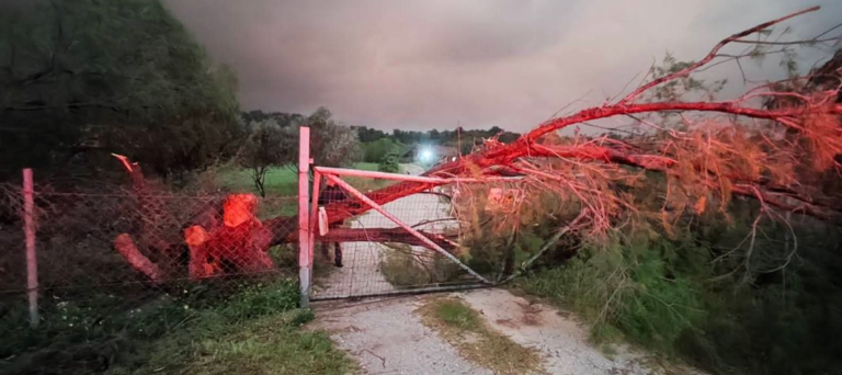 Λέσχη Ελλήνων Καταδρομέων Κω: Επιχείρηση Απεγκλωβισμού Οικογένειας από Πτώση Δέντρου