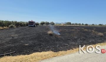 Φωτιά στην Καρδάμαινα της Κω: Άμεσος έλεγχος κοντά σε ξενοδοχείο